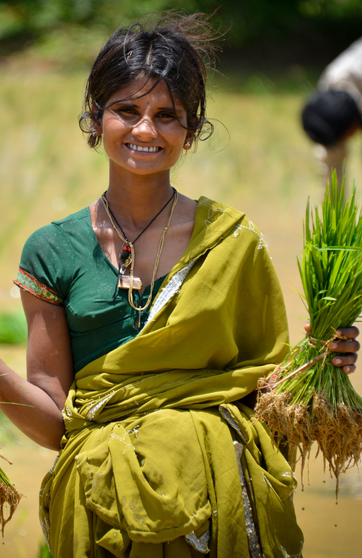 Home Agriculture